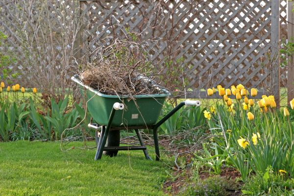 Flower Bed Cleanup Service in Santa Ana