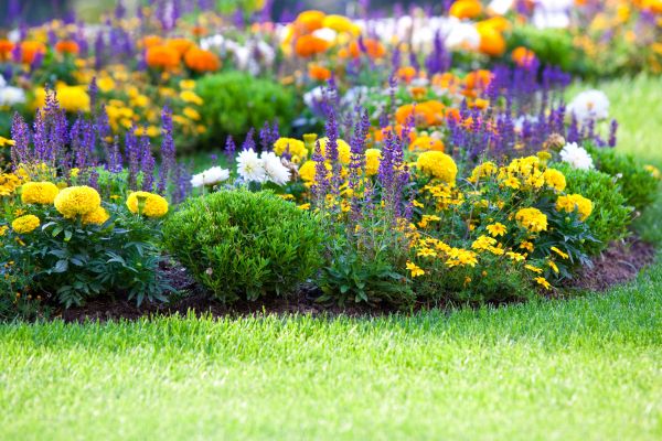 Flower Bed Maintenance in Santa Ana