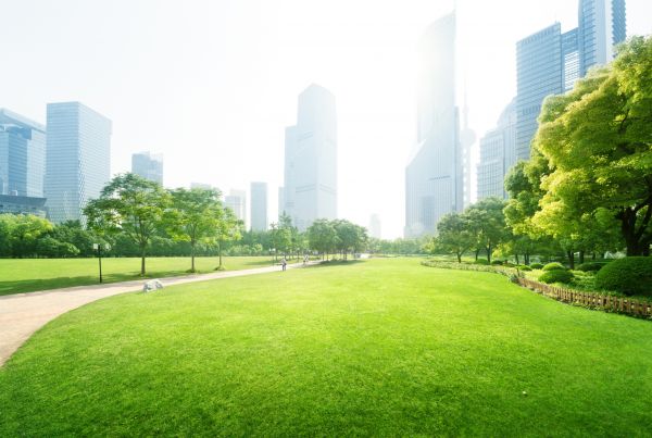 Commercial Landscape Maintenance in Santa Ana