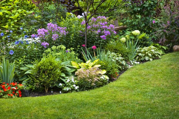 Flower Bed Service in Santa Ana