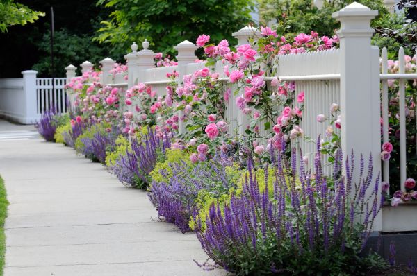 Garden Handyman Service in Santa Ana