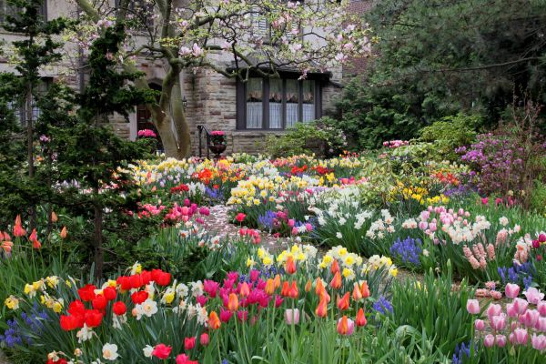 Garden Maintenance Service in Santa Ana