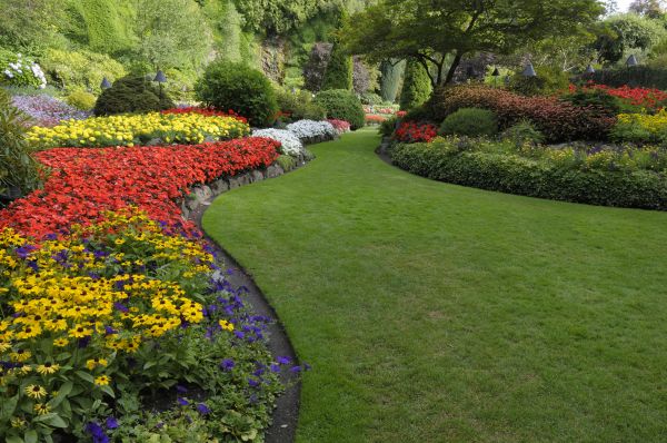 Landscaping Maintenance in Santa Ana