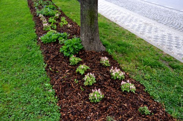 Mulch Replacement Service in Santa Ana