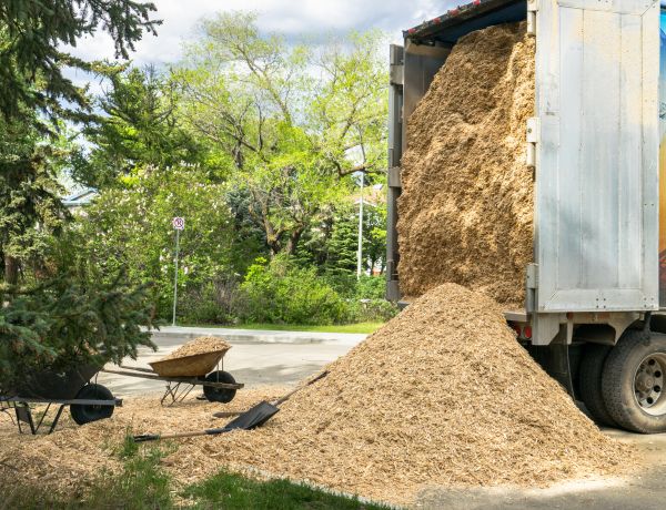Wood Chips Delivery in Santa Ana