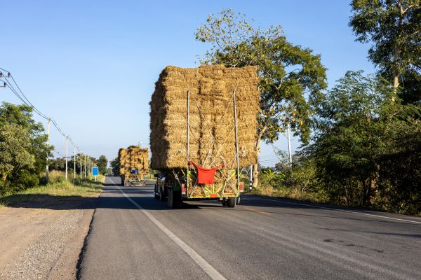 Pine Straw Delivery in Santa Ana