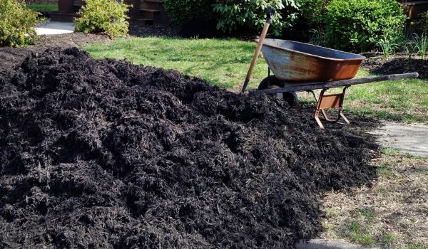 Black Mulch Delivery in Santa Ana