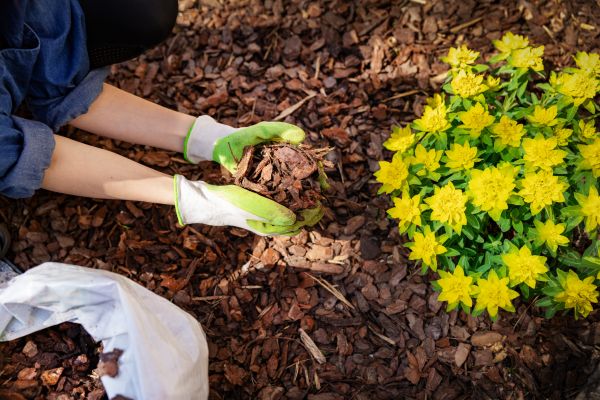 Garden Mulching in Santa Ana