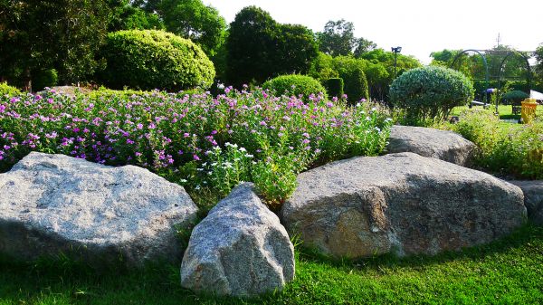 Boulder Landscaping in Santa Ana