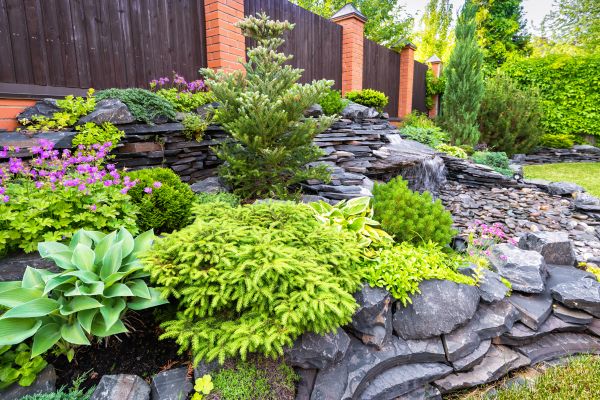 Landscape Remodeling in Santa Ana
