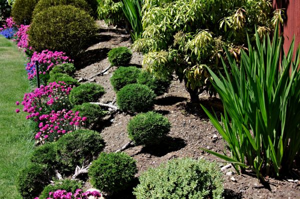 Residential Gardening in Santa Ana