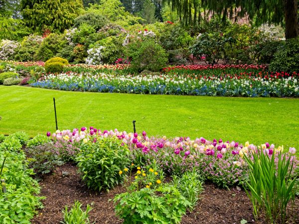 Residential Landscape Design in Santa Ana