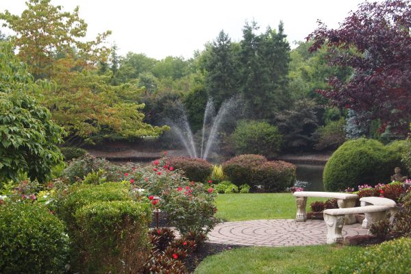 Courtyard Design Service in Santa Ana