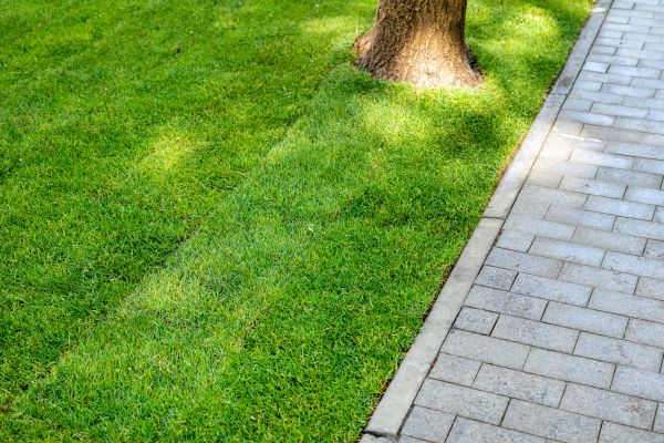 Border Stone Installation in Santa Ana