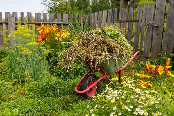 Garden Cleanup Service in Santa Ana