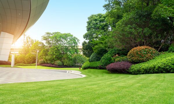Business Landscape Design in Santa Ana