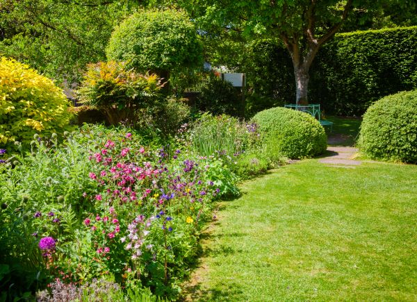 Yard Landscaping Service in Santa Ana
