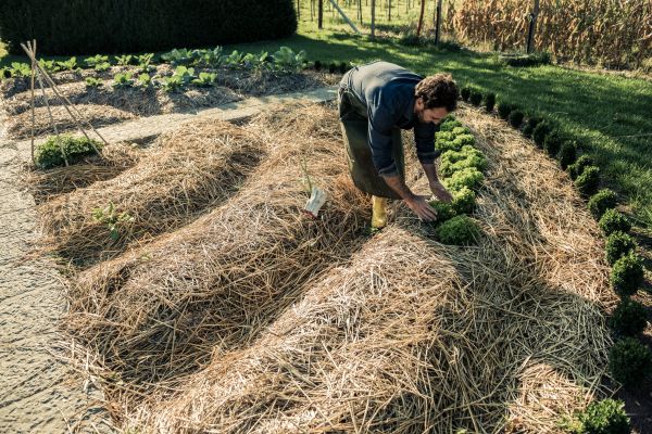 Straw Mulching Service in Santa Ana