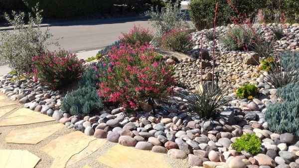 Xeriscape Landscaping in Santa Ana