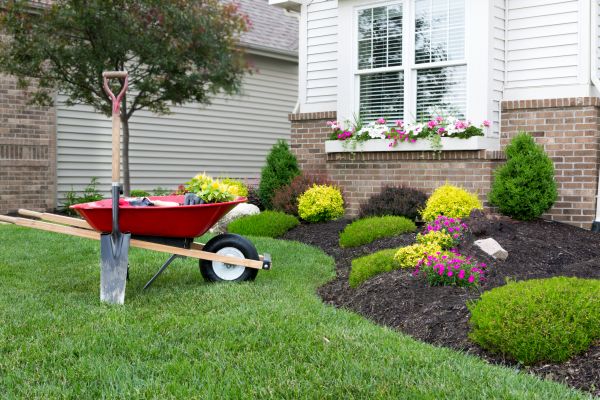 Tree And Shrub Planting in Santa Ana