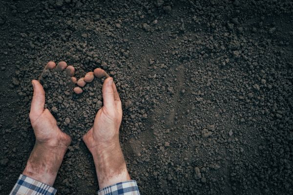 Soil Installation in Santa Ana