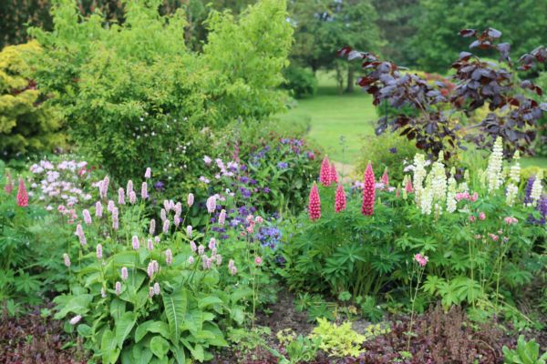Flower Bed Planting in Santa Ana