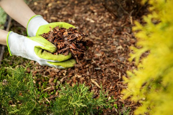 Garden Mulch Delivery in Santa Ana