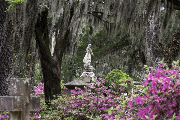 Cemetery Landscaping in Santa Ana