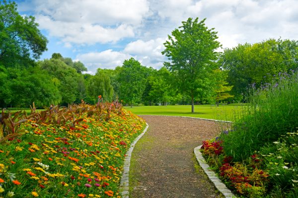 Park Landscaping in Santa Ana