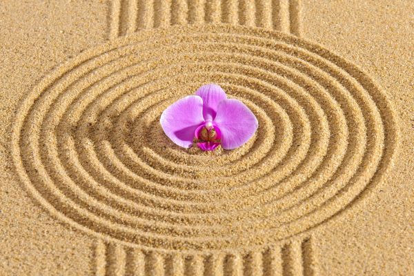 Sand Garden Landscaping in Santa Ana