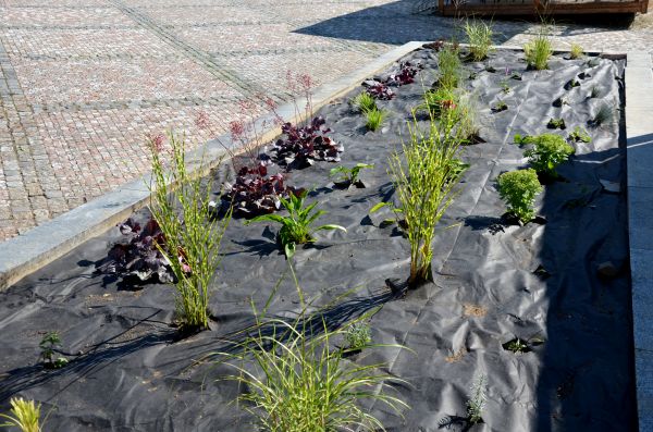 Landscape Fabric Installation in Santa Ana