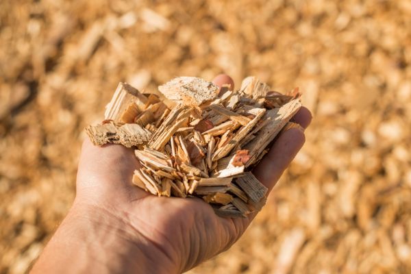 Wood Chips Spreading in Santa Ana