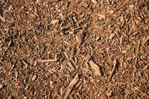 Wood Chips Removal in Santa Ana