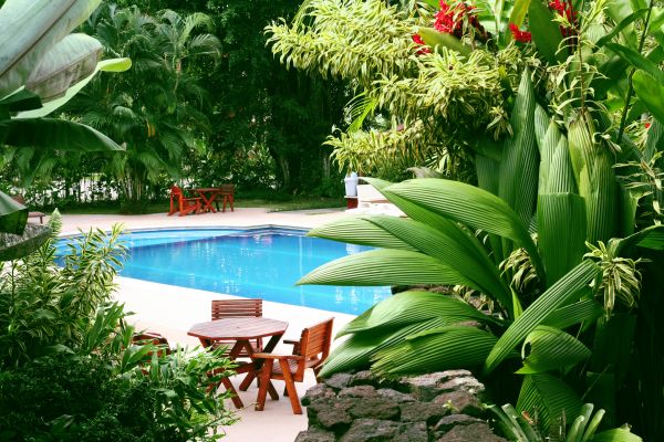 Pool Area Landscaping in Santa Ana