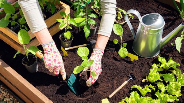 Garden Bed Installation in Santa Ana