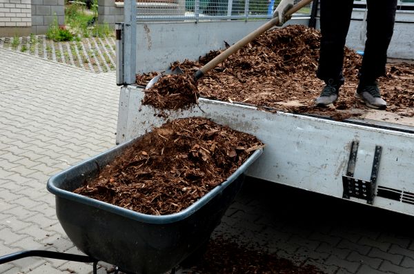Playground Mulch Delivery in Santa Ana