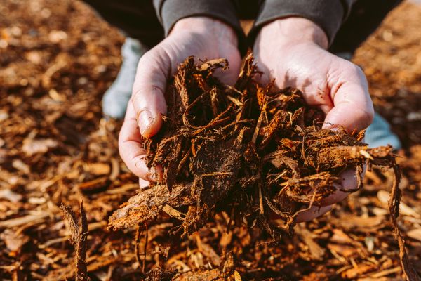 Bark Chips Delivery in Santa Ana