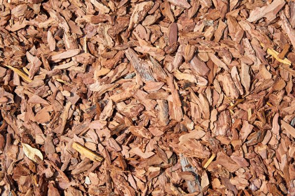 Pine Mulch Spreading in Santa Ana