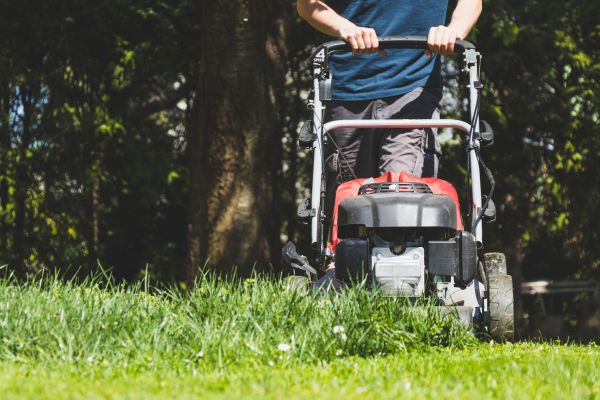 Garden Trimming Service in Santa Ana