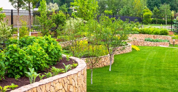 Yard Makeover Service in Santa Ana