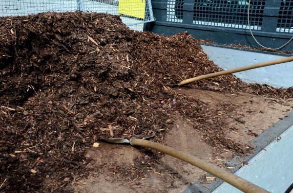 Cedar Bark Delivery in Santa Ana