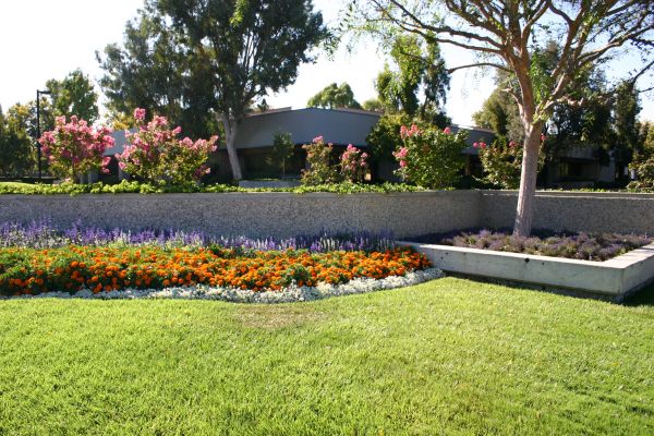 Commercial Landscape Service in Santa Ana