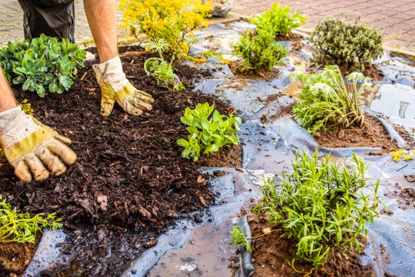 Mulch Fabric Installation in Santa Ana