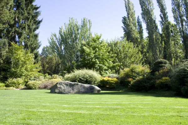 Yard Enlargement in Santa Ana