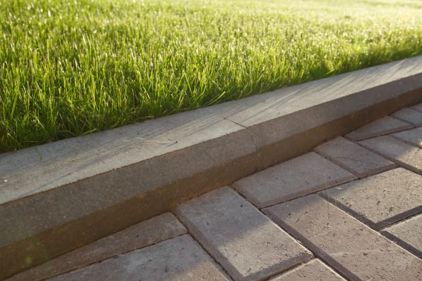 Lawn Edging Replacement in Santa Ana