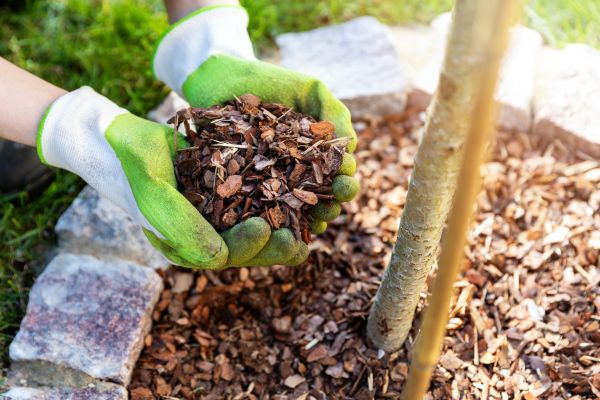 Tree Bark Delivery in Santa Ana