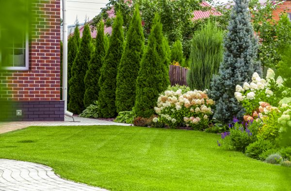 Spring Landscaping in Santa Ana