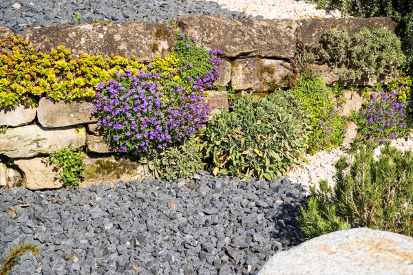 Landscaping Rocks Installation in Santa Ana