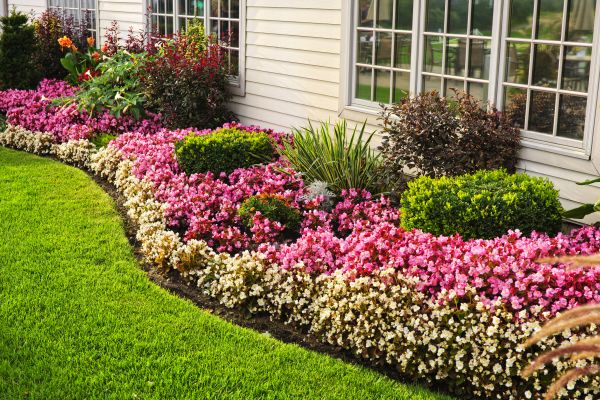 Garden Landscape Design in Santa Ana