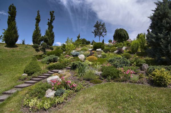 Steep Terrain Landscaping in Santa Ana